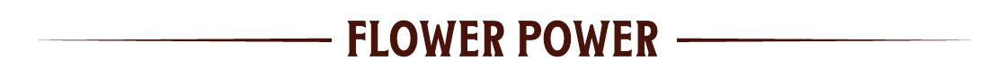 titolo_flowerpower