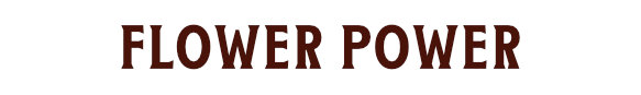 titolo_flowerpower_mobile